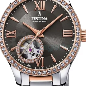 Festina Classic