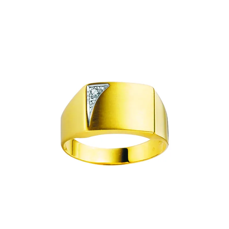 signetring_0-6.webp Signetring